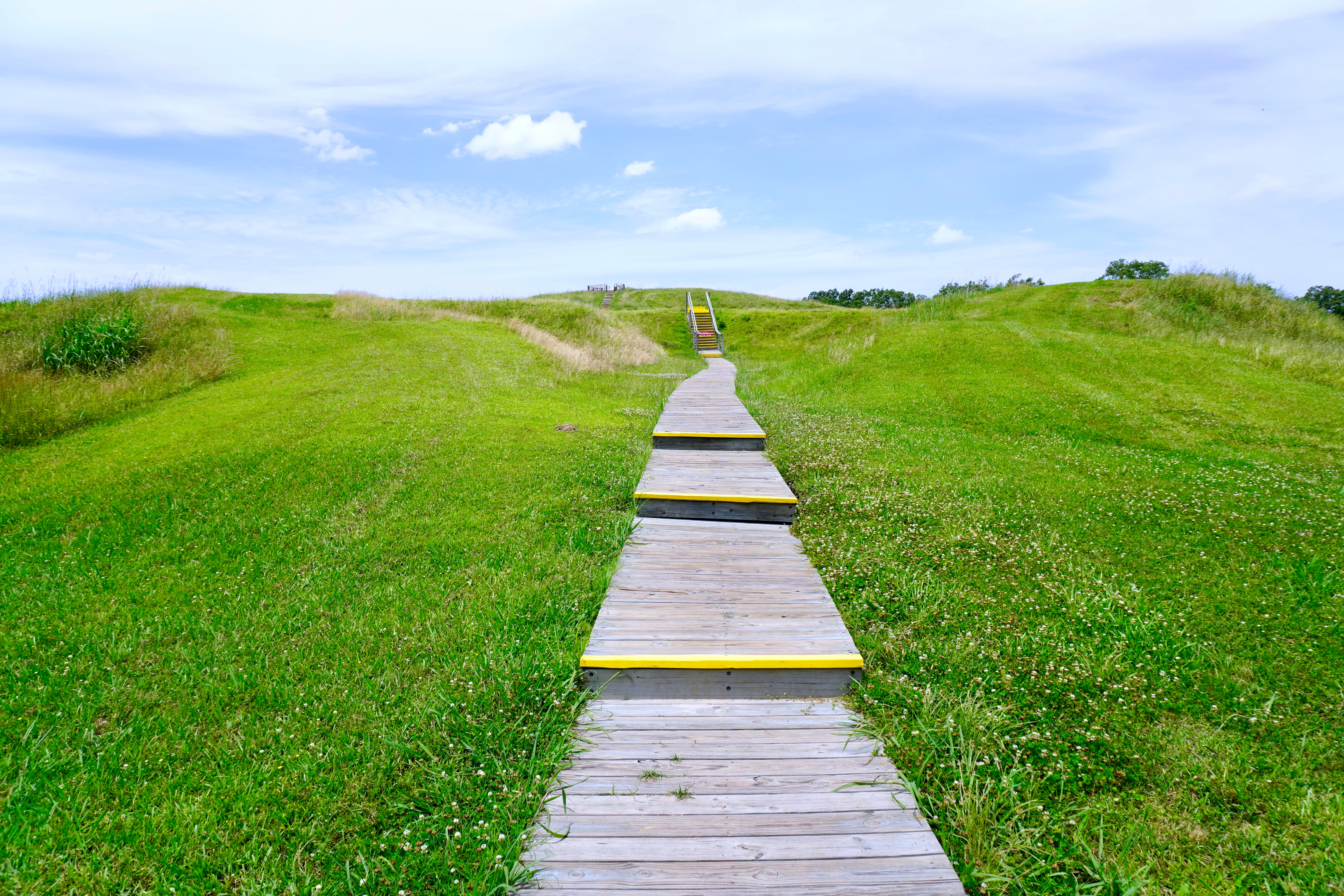 Pathway to mound A, Poverty Point