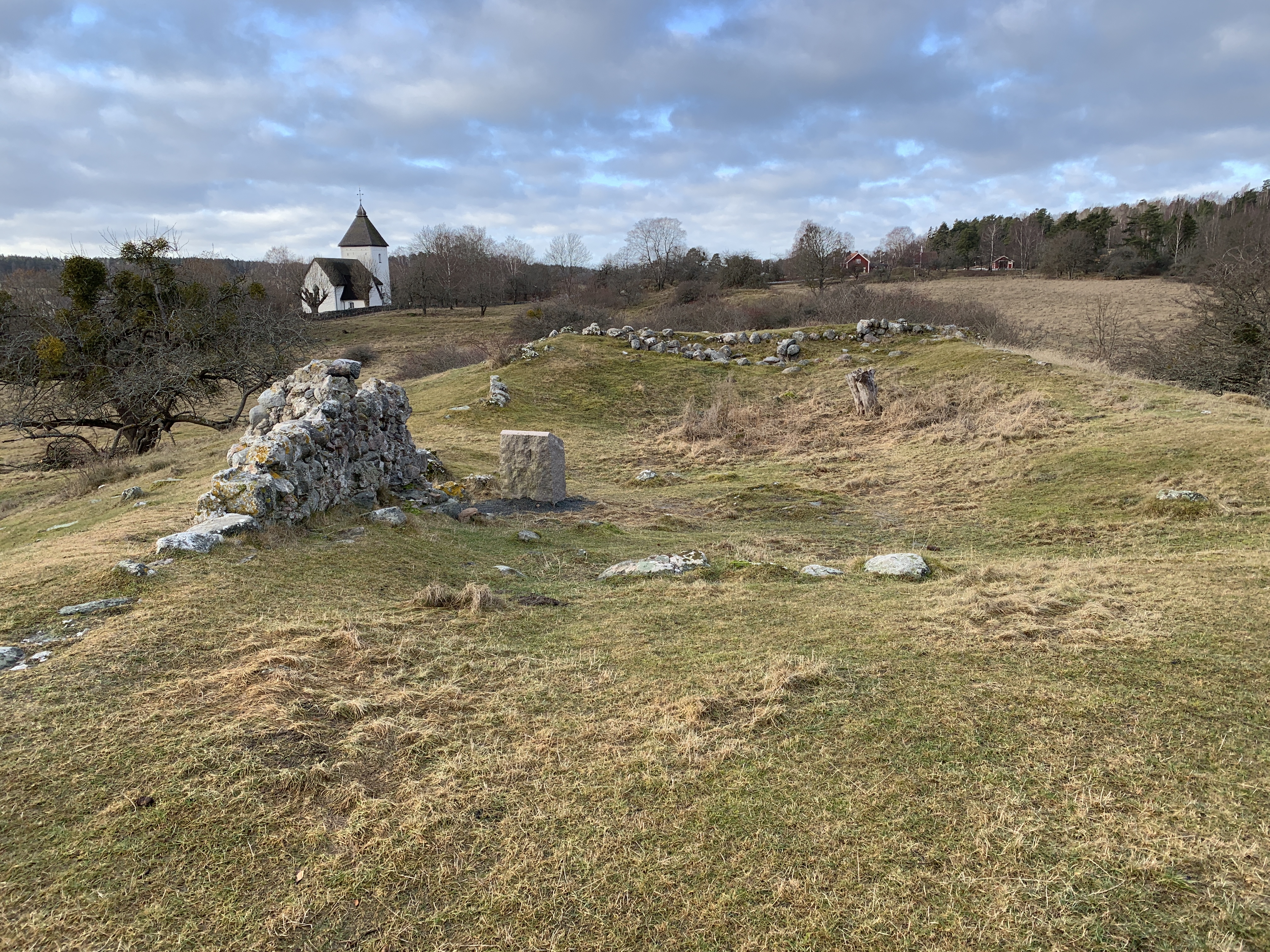 Castle ruins known as kungsgården