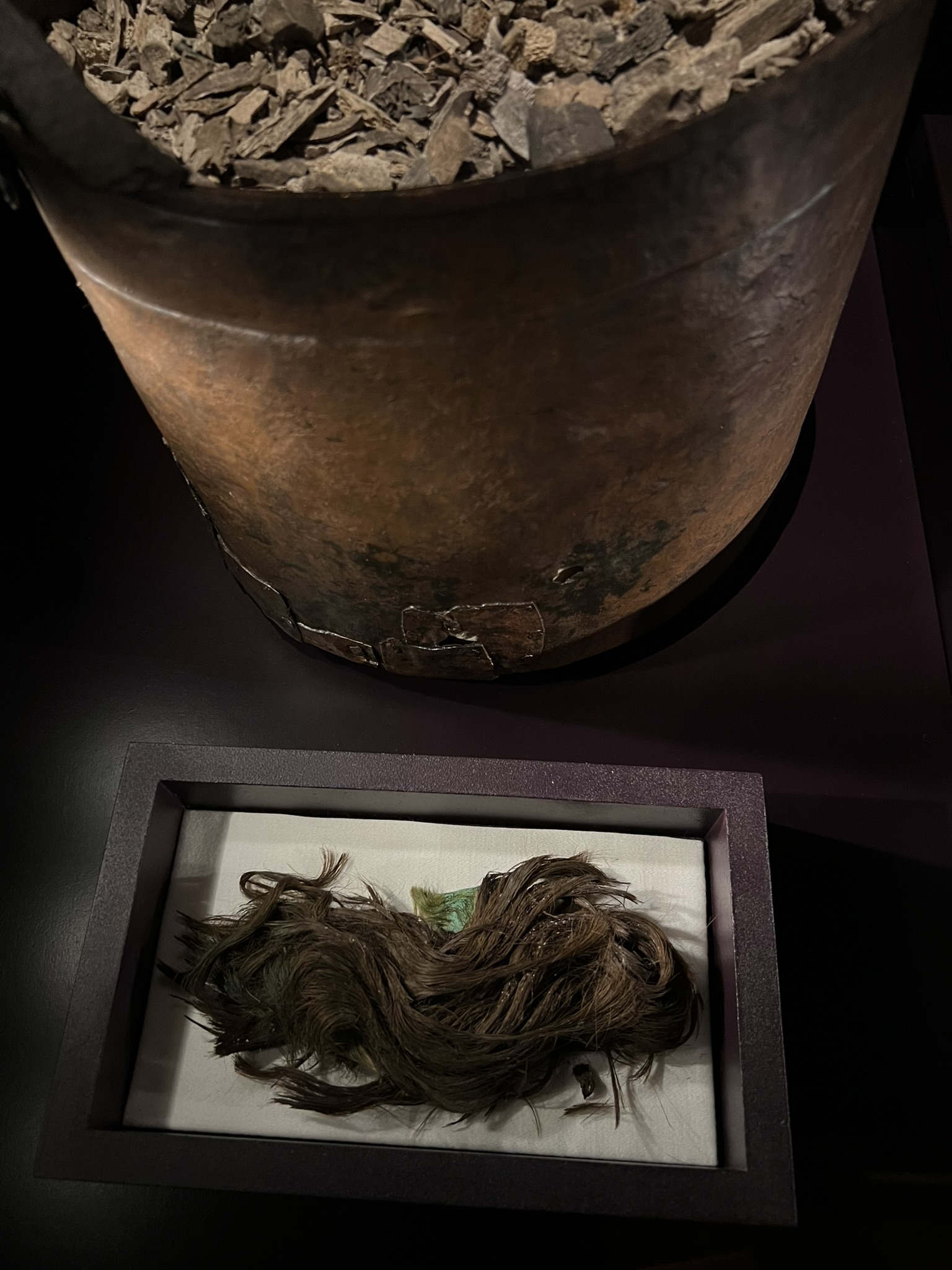 A lock of hair from the viking age found in a copper kettle